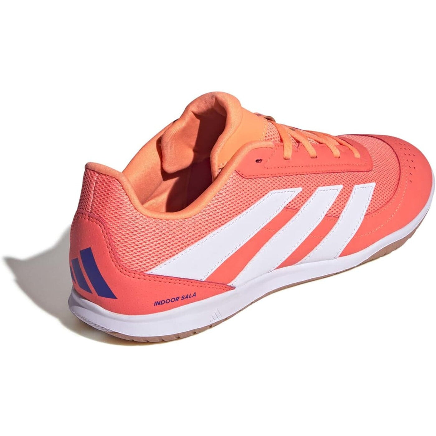 PREDATOR CLUB IN SALA SIGCOR/FTWWHT/BEAORA SIGCOR/FTWWHT/BEAORA Bild 8