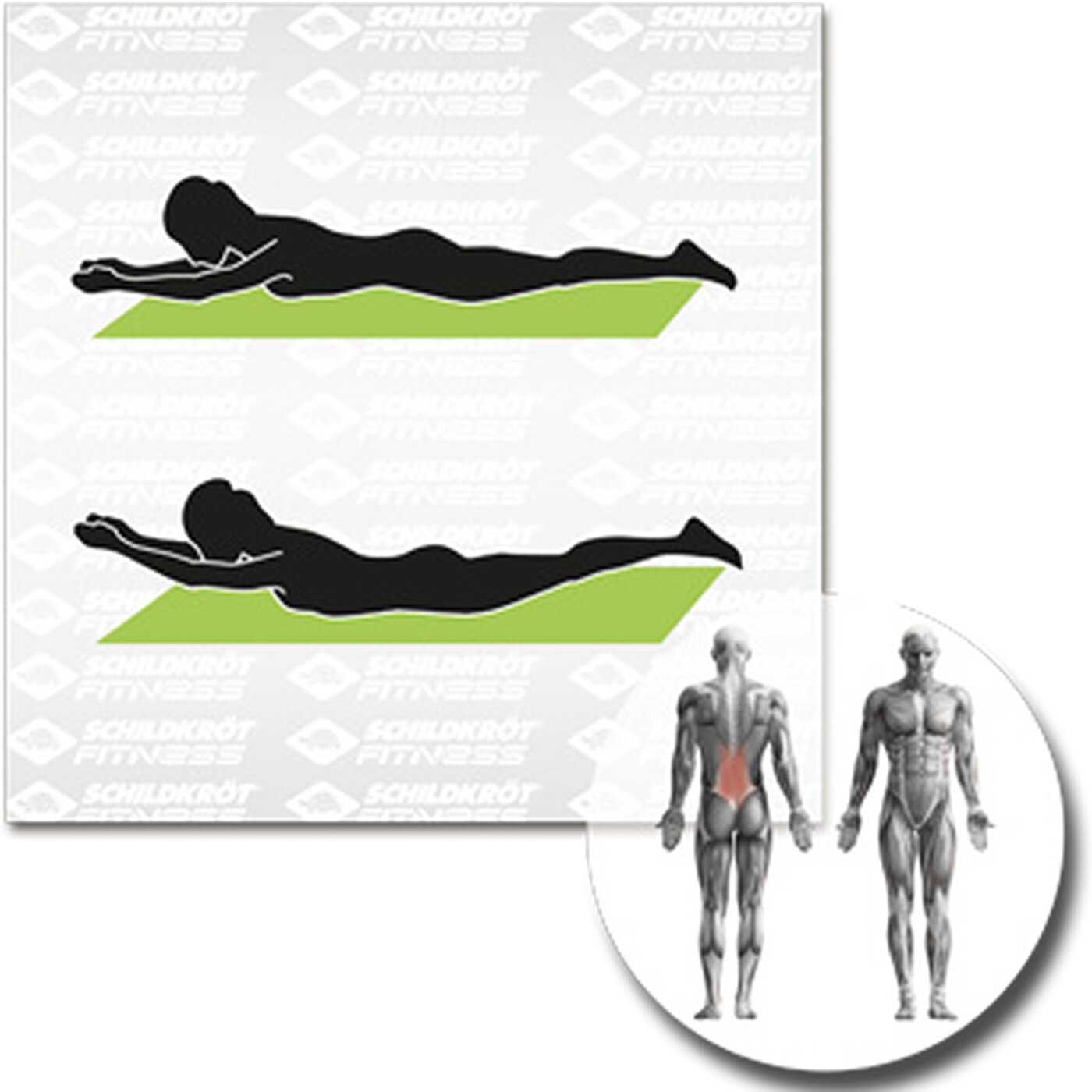 FITNESSMATTE, (15mm, green), mit Tr KEINE FARBE KEINE FARBE Bild 5