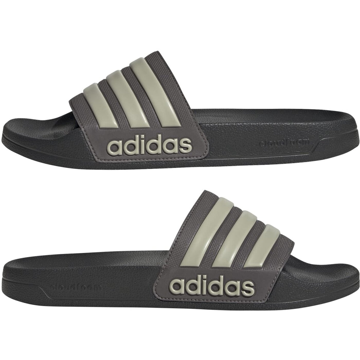 ADILETTE SHOWER CHACOA/PUTGRE/CARBON CHACOA/PUTGRE/CARBON Bild 4