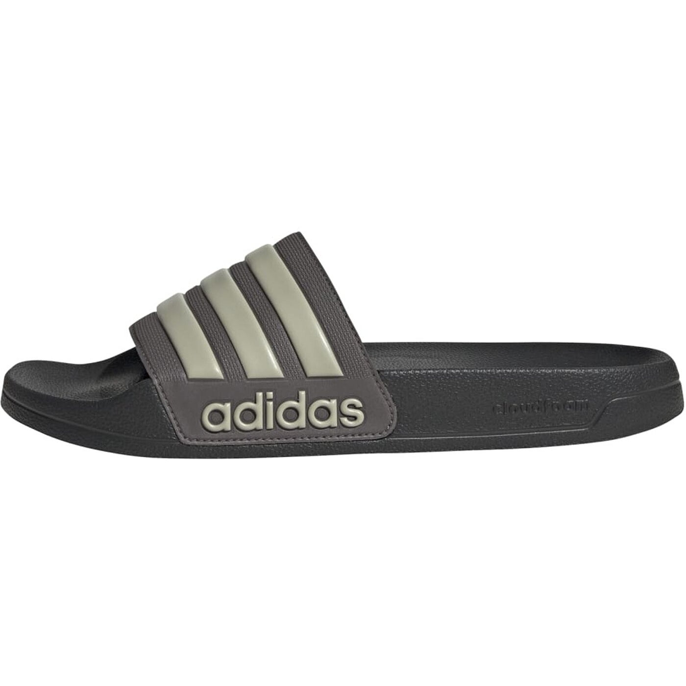 ADILETTE SHOWER CHACOA/PUTGRE/CARBON CHACOA/PUTGRE/CARBON Bild 5