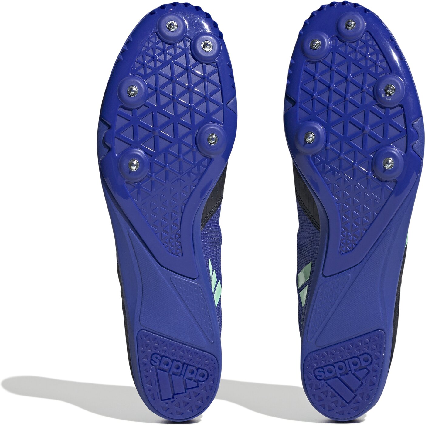 distancestar LEGINK/PULMIN/LUCBLU LEGINK/PULMIN/LUCBLU Bild 2