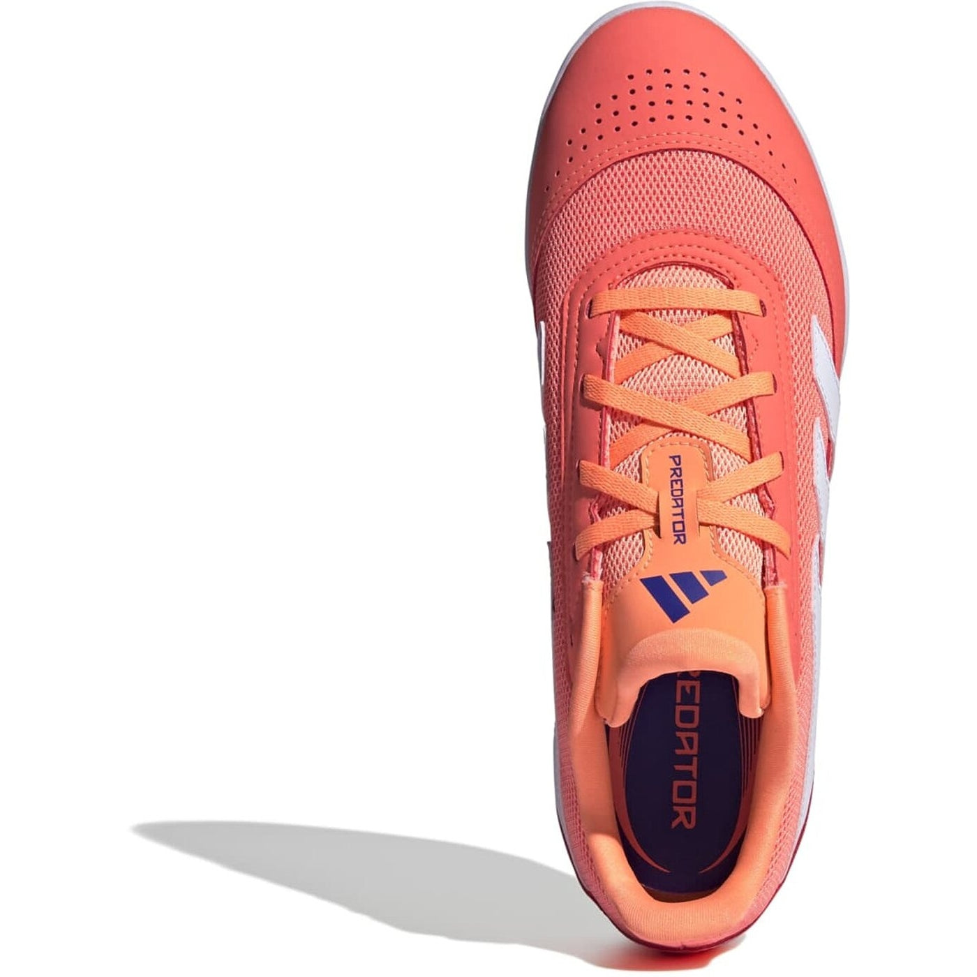 PREDATOR CLUB IN SALA SIGCOR/FTWWHT/BEAORA SIGCOR/FTWWHT/BEAORA Bild 3