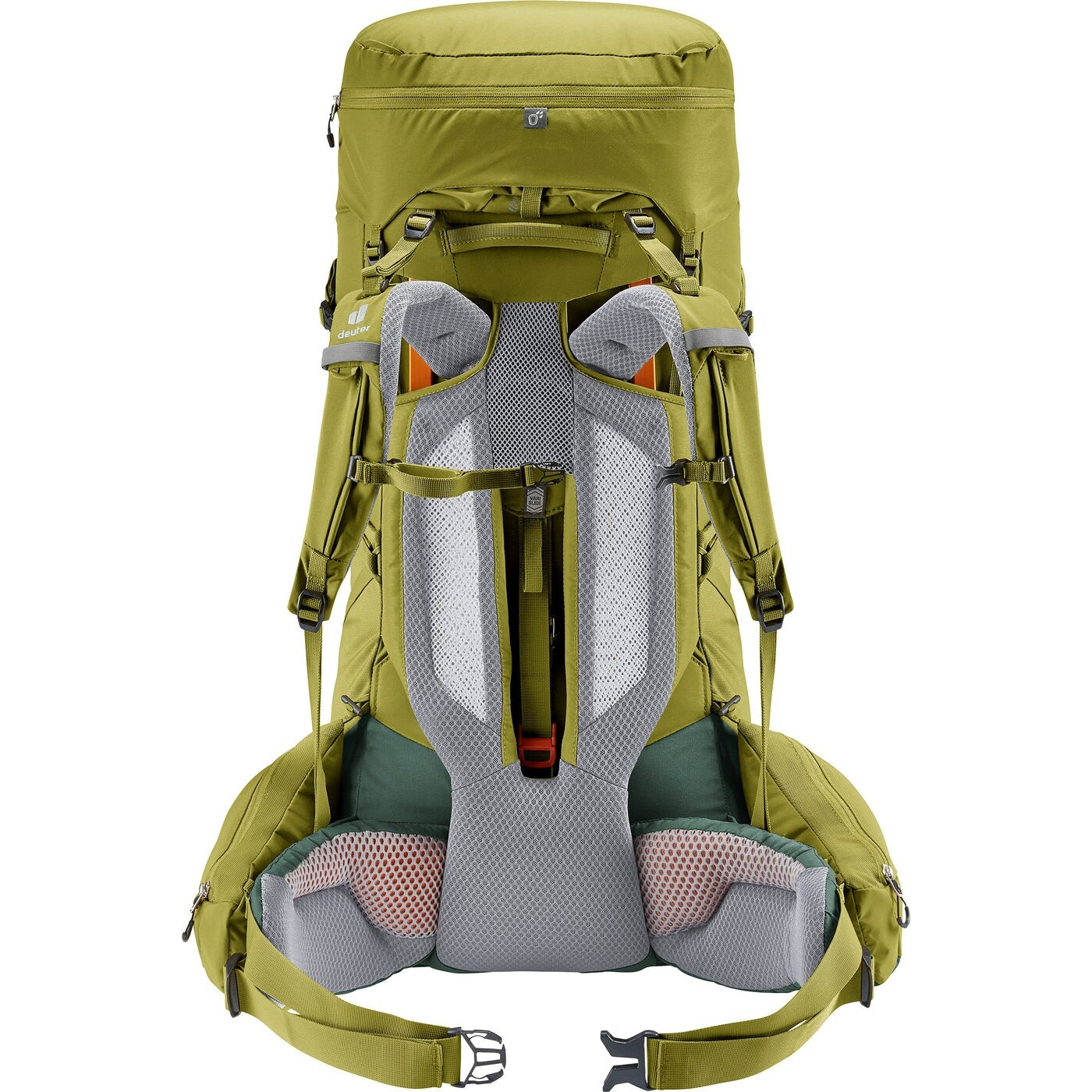 Aircontact Core 60+10 CACTUS-IVY CACTUS-IVY Bild 2