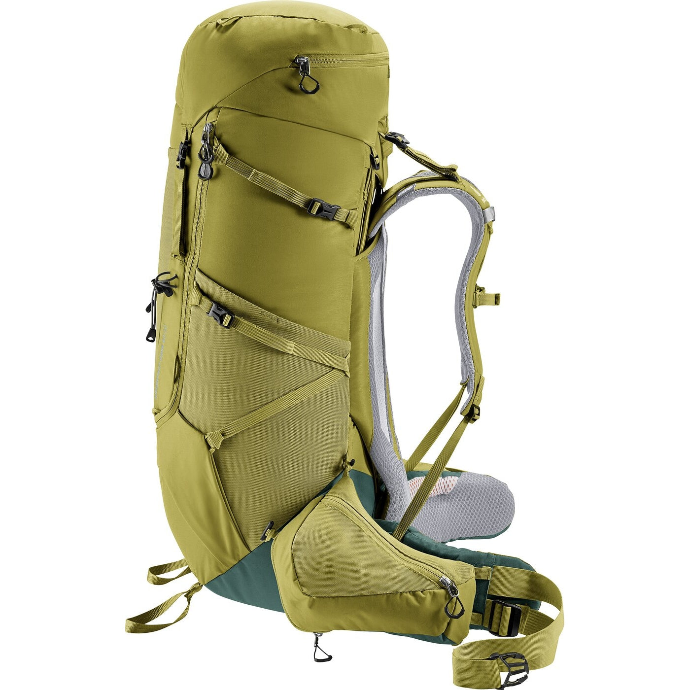 Aircontact Core 60+10 CACTUS-IVY CACTUS-IVY Bild 3