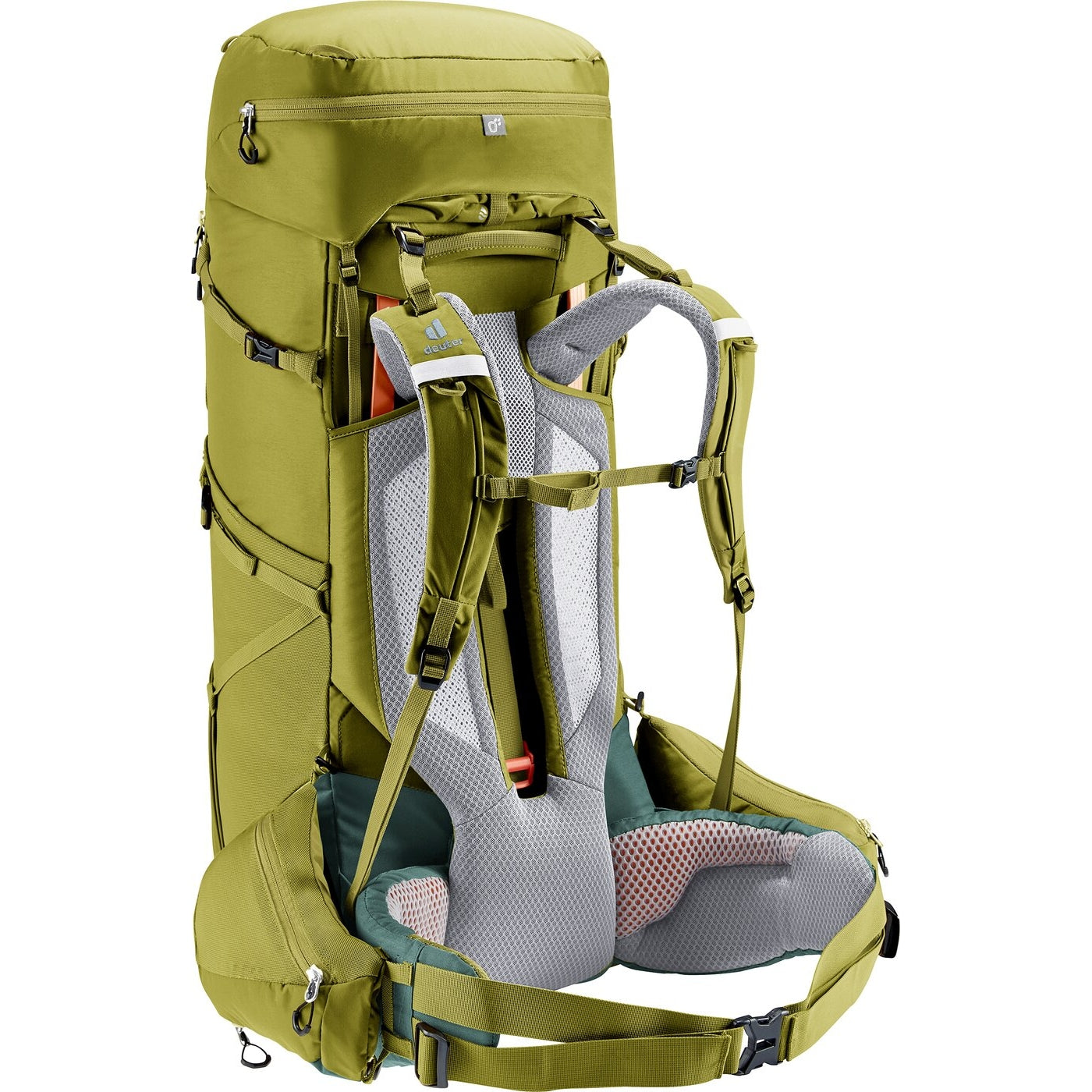 Aircontact Core 60+10 CACTUS-IVY CACTUS-IVY Bild 5