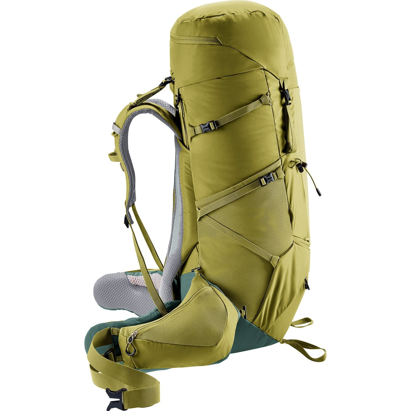 Aircontact Core 60+10 CACTUS-IVY CACTUS-IVY Bild 6