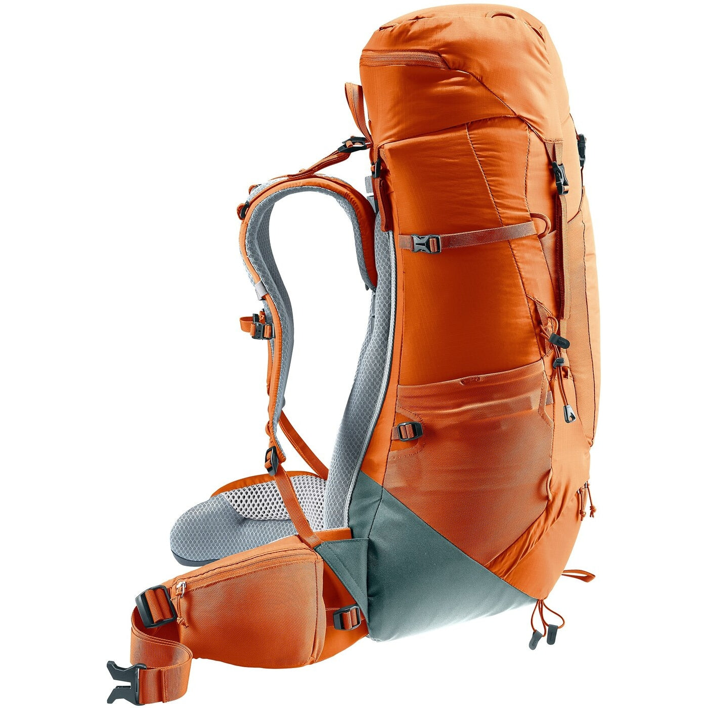 Aircontact Lite 40 + 10 CHESTNUT-TEAL CHESTNUT-TEAL Bild 3