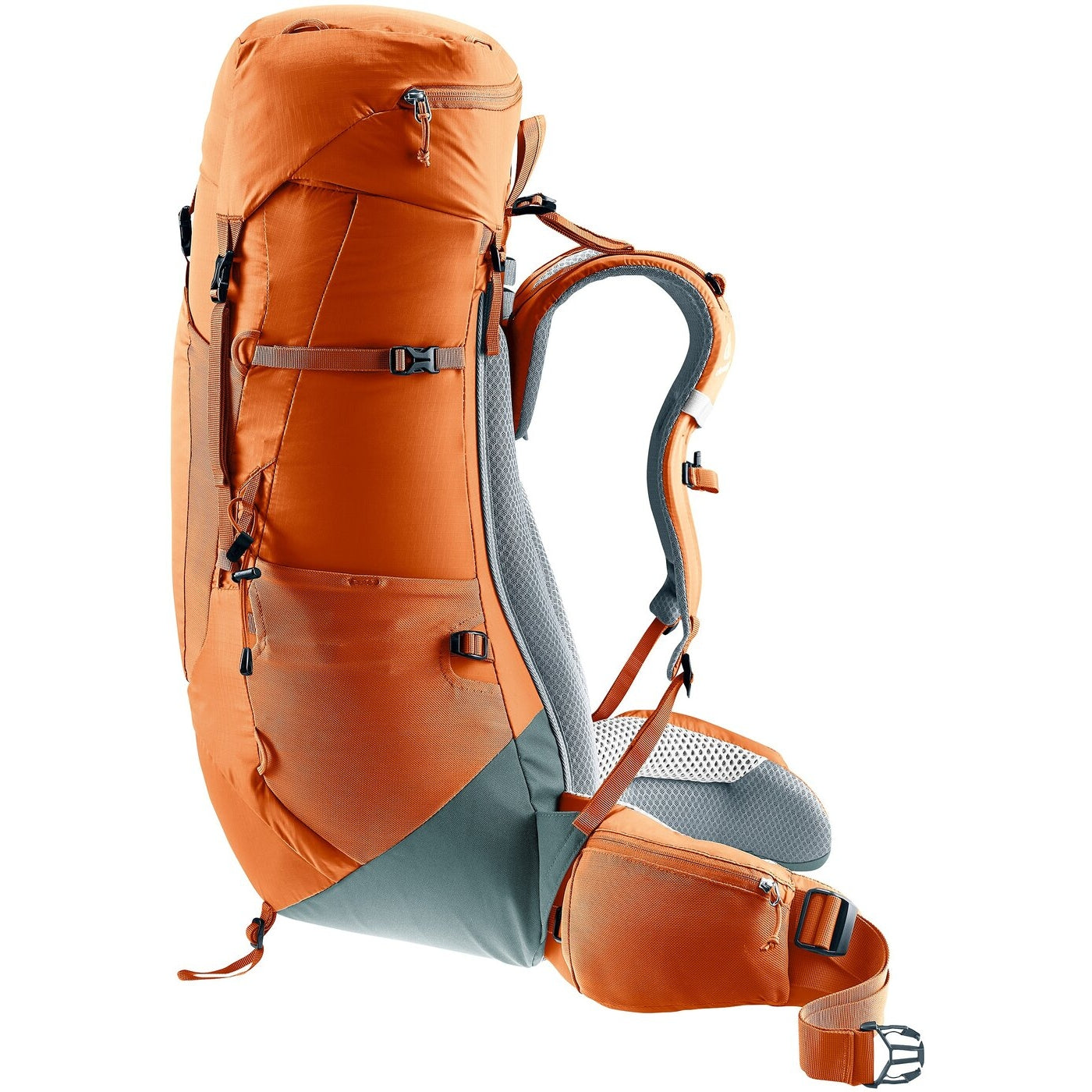 Aircontact Lite 40 + 10 CHESTNUT-TEAL CHESTNUT-TEAL Bild 6