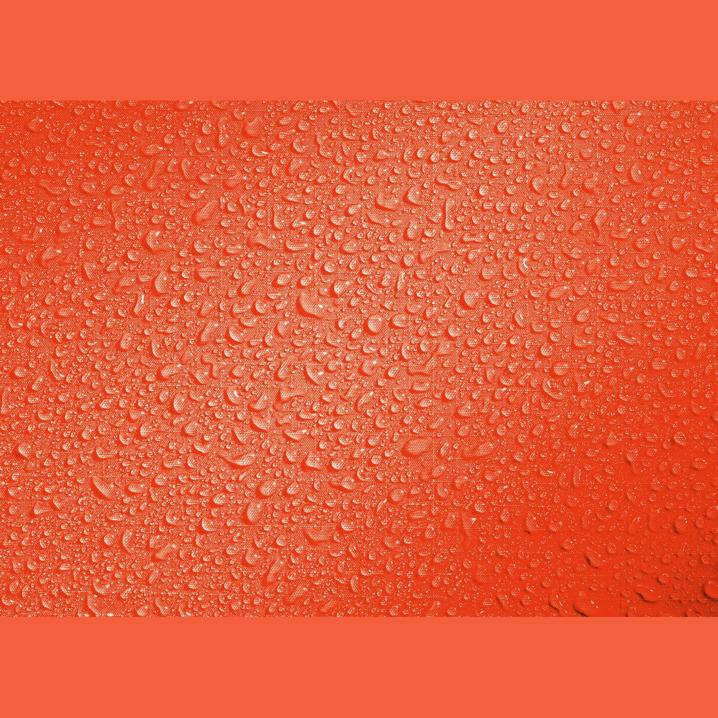 Light Drypack 5 PAPAYA PAPAYA Bild 1